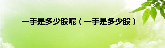 一手是多少股呢（一手是多少股）