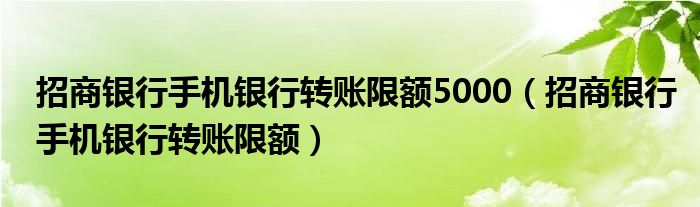 招商银行手机银行转账限额5000（招商银行手机银行转账限额）