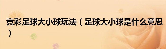 竞彩足球大小球玩法（足球大小球是什么意思）