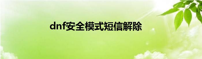 dnf安全模式短信解除