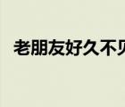 老朋友好久不见的成语（老朋友好久不见）