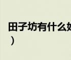 田子坊有什么好玩的地（田子坊有什么好玩的）