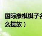 国际象棋棋子名字及图片（国际象棋的棋子怎么摆放）