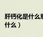 肝钙化是什么意思通俗易懂的解释（肝钙化是什么）