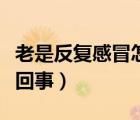 老是反复感冒怎么回事儿（老是反复感冒怎么回事）