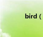 bird（说一说bird的简介）