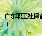 广东职工社保查询（广东社保查询身份证号码）