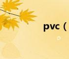 pvc（说一说pvc的简介）