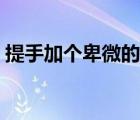 提手加个卑微的卑念什么（提手加卑念什么）