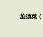 龙须菜（说一说龙须菜的简介）
