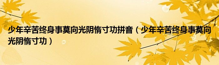 少年辛苦终身事莫向光阴惰寸功拼音（少年辛苦终身事莫向光阴惰寸功）