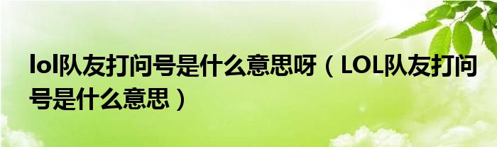 lol队友打问号是什么意思呀（LOL队友打问号是什么意思）