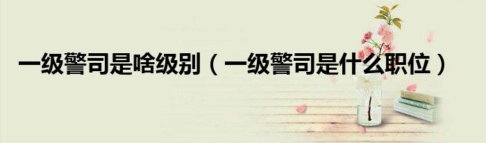 一级警司是啥级别（一级警司是什么职位）
