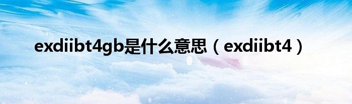 exdiibt4gb是什么意思（exdiibt4）