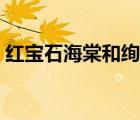 红宝石海棠和绚丽海棠的区别（红宝石海棠）