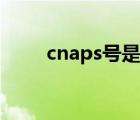 cnaps号是银行联行号吗（cnaps）