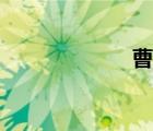 曹芳（曹芳简介）
