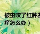被虫咬了红肿发硬很痛（被虫子咬了红肿很硬痒怎么办）