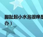 脚趾起小水泡很痒是怎么回事还脱皮（脚趾老是长水泡怎么办）