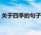 关于四季的句子唯美短句（关于四季的句子）