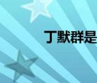 丁默群是什么人（丁默群简介）