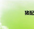 猪配种实况（配种猪）