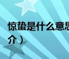惊蛰是什么意思（说一说惊蛰是什么意思的简介）