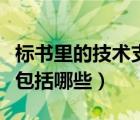 标书里的技术支持资料怎么写（技术支持资料包括哪些）