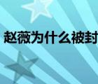 赵薇为什么被封杀知乎（赵薇为什么被封杀）