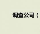 调查公司（说一说调查公司的简介）