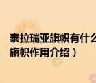 泰拉瑞亚旗帜有什么buff（泰拉瑞亚旗帜有什么用泰拉瑞亚旗帜作用介绍）