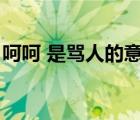 呵呵 是骂人的意思吗（呵呵是什么骂人意思）