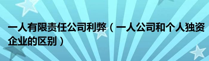 一人有限责任公司利弊（一人公司和个人独资企业的区别）