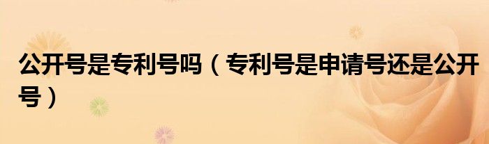 公开号是专利号吗（专利号是申请号还是公开号）