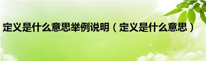 定义是什么意思举例说明（定义是什么意思）