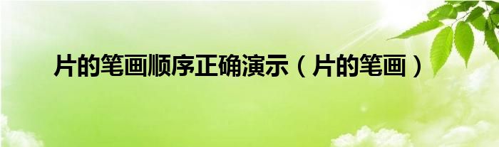 片的笔画顺序正确演示（片的笔画）