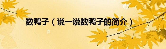 数鸭子（说一说数鸭子的简介）