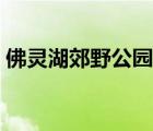 佛灵湖郊野公园几点关门（佛灵湖郊野公园）