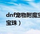 dnf宠物附魔宝珠可以继承吗（dnf宠物附魔宝珠）