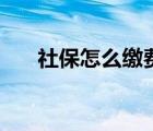 社保怎么缴费最划算（社保怎么缴费）