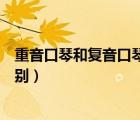 重音口琴和复音口琴的区别视频（重音口琴和复音口琴的区别）