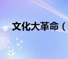 文化大革命（说一说文化大革命的简介）