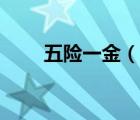 五险一金（说一说五险一金的简介）