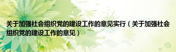 关于加强社会组织党的建设工作的意见实行（关于加强社会组织党的建设工作的意见）