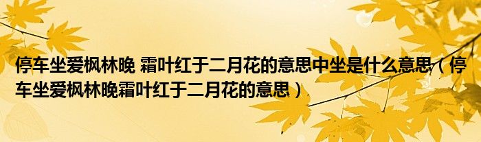 停车坐爱枫林晚 霜叶红于二月花的意思中坐是什么意思（停车坐爱枫林晚霜叶红于二月花的意思）