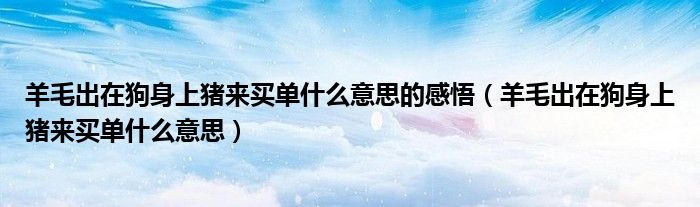 羊毛出在狗身上猪来买单什么意思的感悟（羊毛出在狗身上猪来买单什么意思）