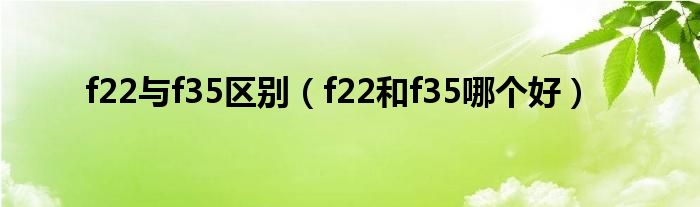 f22与f35区别（f22和f35哪个好）