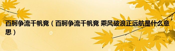 百舸争流千帆竞（百舸争流千帆竞 乘风破浪正远航是什么意思）