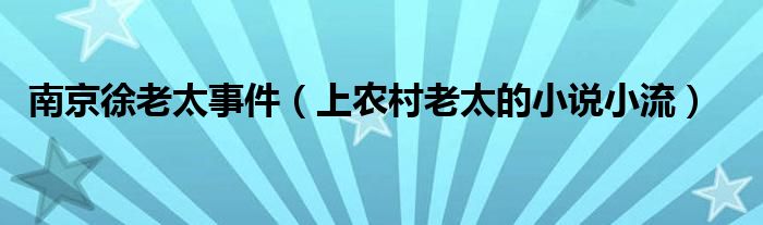 南京徐老太事件（上农村老太的小说小流）