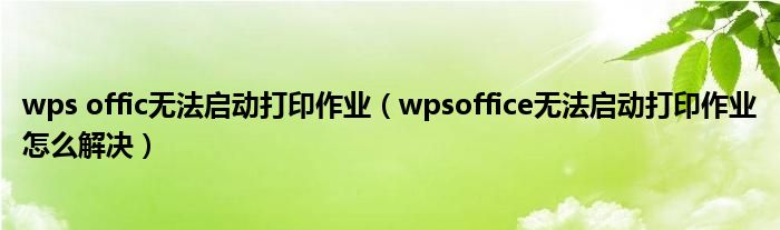 wps offic无法启动打印作业（wpsoffice无法启动打印作业怎么解决）